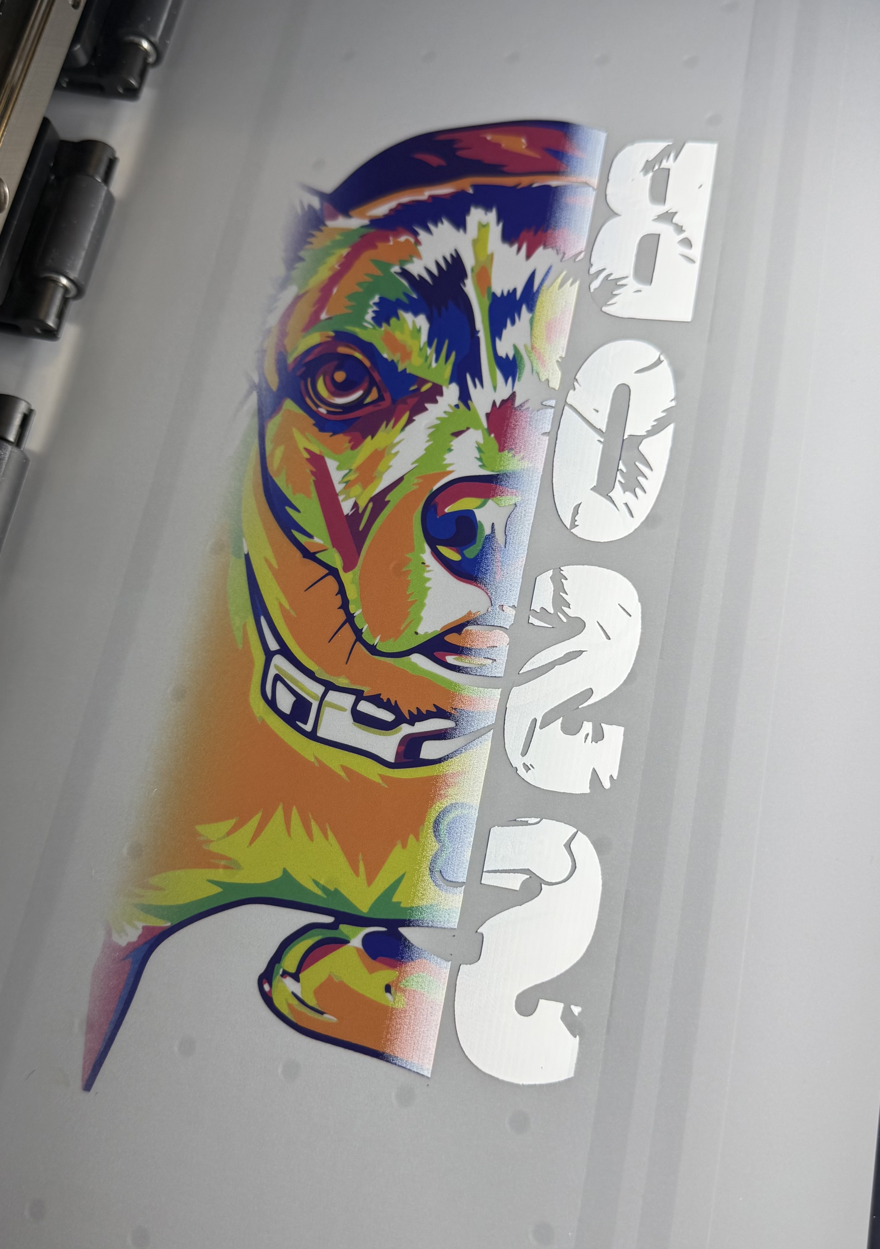 DTF Film Print showing vibrant colors