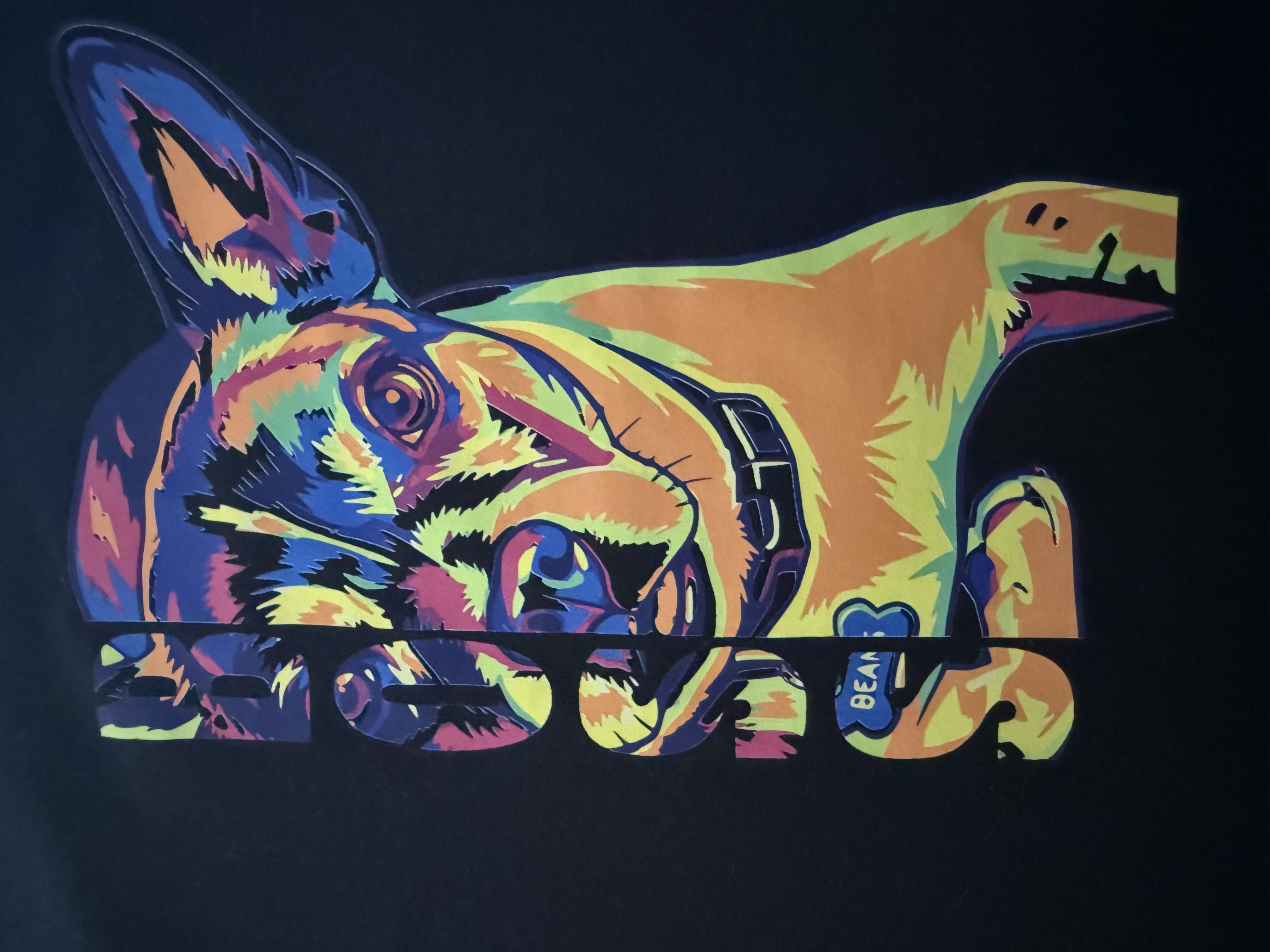 DTF transfer pressed onto a black t-shirt